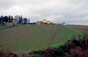 Weingut im Chianti