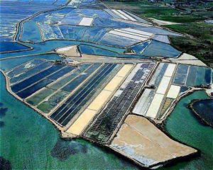 Parque Natural da Ria Formosa