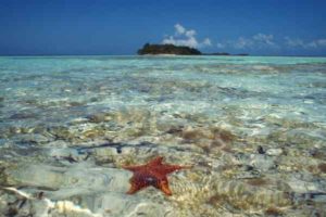 Glasklares Wasser vor der Küste von Belize