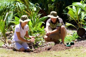 Ranger setzen Sprösslinge auf den Seychellen